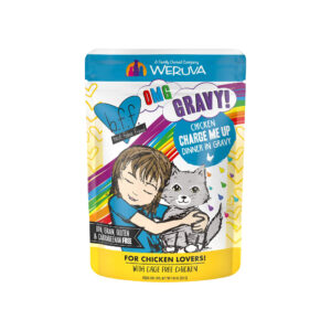 Best Feline Friend BFF Oh My Gravy! Grain-Free Wet Cat Food Pouches