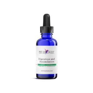 Pet Essences Digestion / Assimilation for Dogs & Cats