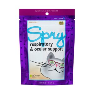 In Clover Spry Soft Chews for Cats
